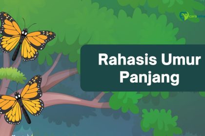 rahasia umur panjang