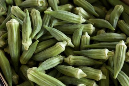 manfaat okra untuk kesehatan