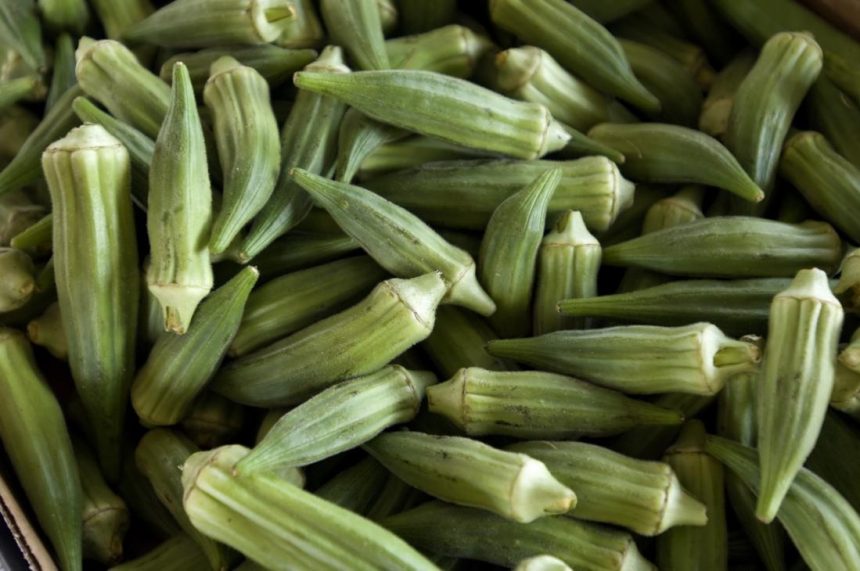 manfaat okra untuk kesehatan